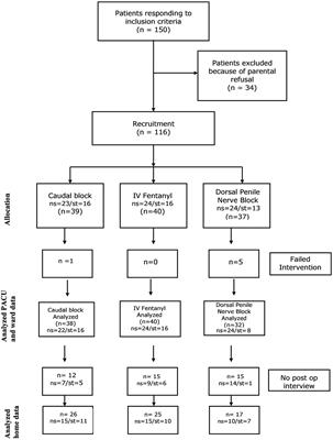 Comparison of Caudal Block vs. Penile Block vs. Intravenous Fentanyl Only in Children Undergoing Penile Surgery: A Prospective, Randomized, Double Blind Study